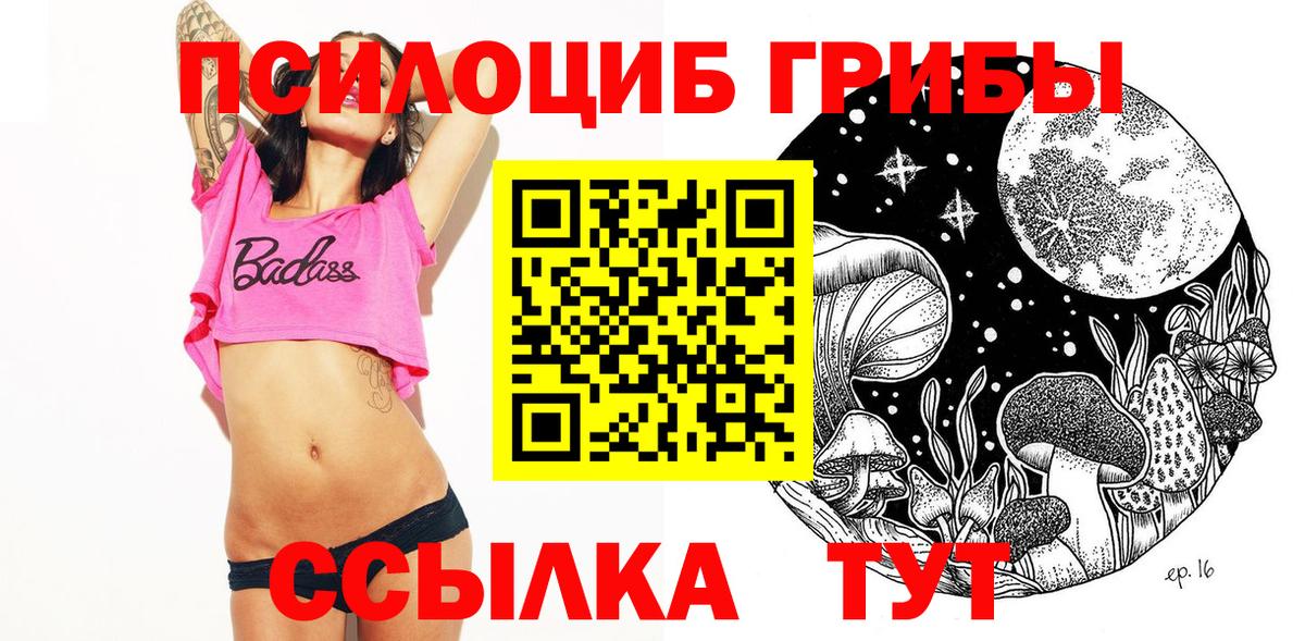 Ковров  Псилоцибиновые грибы Cubensis  Вход с VPN 